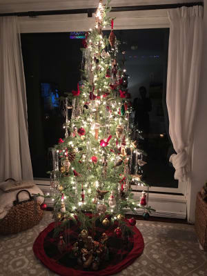Alpine Balsam Fir Christmas Tree Balsam Hill