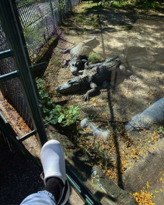 crocs bistro pro literide