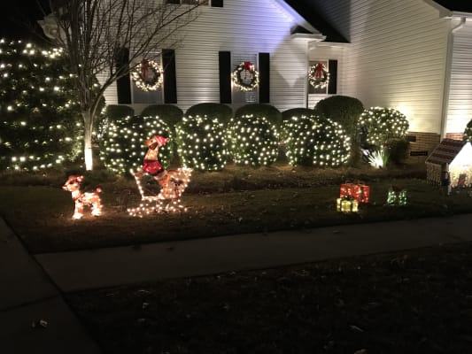 Winter Wonder Lane Light Up Rudolph The Red Nosed Reindeer 24