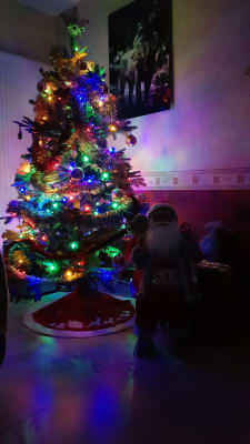 Nos Sapins De Noel Artificiels Nordmann Balsam Hill