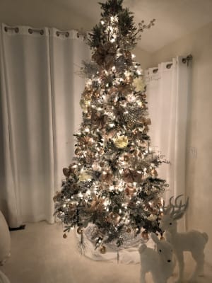 9 Flocked Christmas Tree Pre Lit With Clear Lights Big Lots