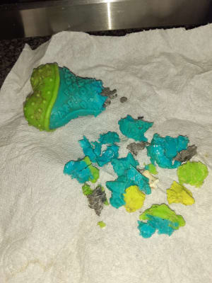 kong core strength bone review