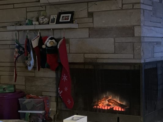 Dimplex 23 Deluxe Electric Fireplace Insert Led Log Set Dfi2310