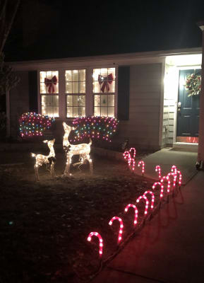 Winter Wonder Lane Light Up Candy Cane Pathway Markers 8 Pack Big Lots