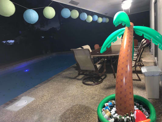 palm tree drink cooler