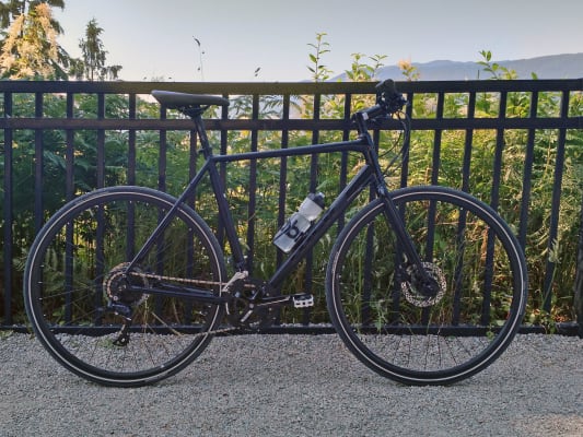 trek zektor 2 price