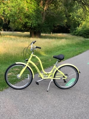 electra townie bike rack