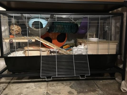 savic plaza hamster and rat cage