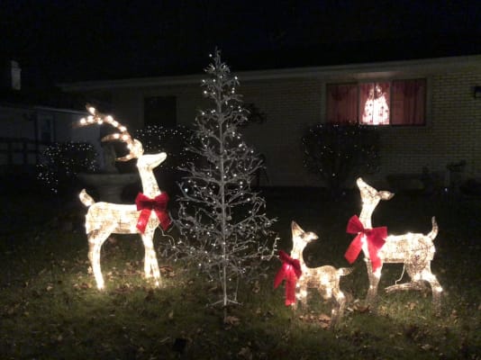 Light Up Outdoor Christmas Deer Set 2 Piece Champagne Big Lots