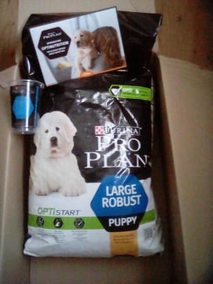 pro plan puppy large robust