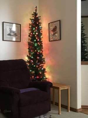 Sonoma Pencil Christmas Tree Balsam Hill