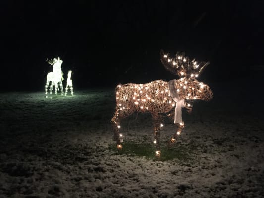 White Led Light Up Deer Family 3 Piece Set Big Lots