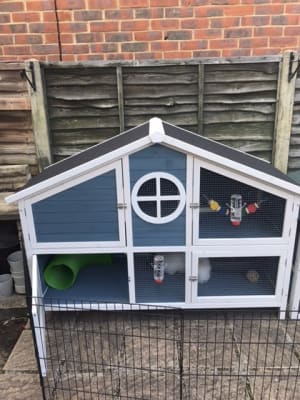 foxglove rabbit hutch