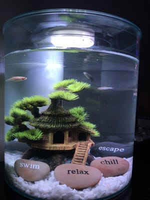 marina 360 aquarium