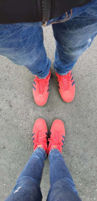 jd sports mens gazelles