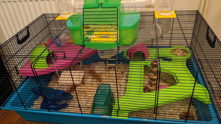 hamster heaven metro cage