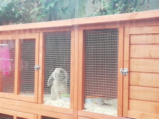 maple manor xl hutch cover