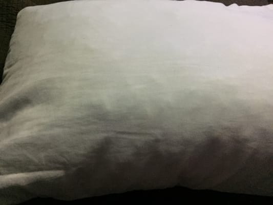 Serta Huggable Comfort Memory Foam Pillows 2 Pack Big Lots