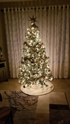 Featured image of post Cashmere Christmas Tree Big Lots