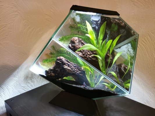 ciano nexus diamond aquarium 14 litre