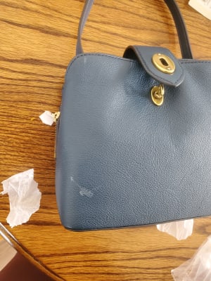 fossil lana satchel