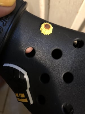 sunflower croc charms