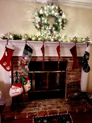 Balsam Hill Mixed Evergreen Prelit Artificial Christmas Garland