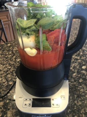 deluxe cooking blender