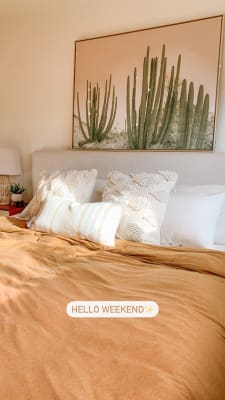 Cactus With Gold Frame World Market