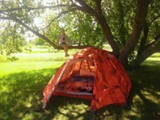 homestead roomy 2 tent