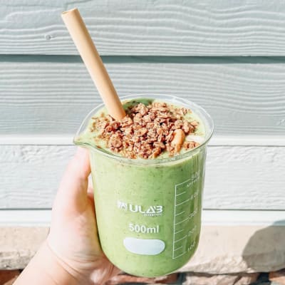 Dark Chocolate Peanut Butter Granola 325 G Nature S Path