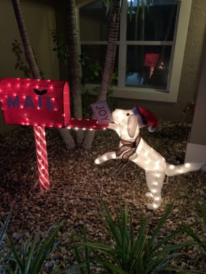Dog With Mailbox Christmas Decoration