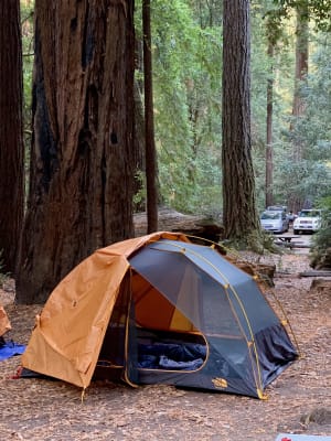 the north face talus