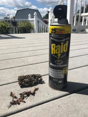 Raid Wasp Hornet Killer 33 Raid Wasp Hornet Killer 33