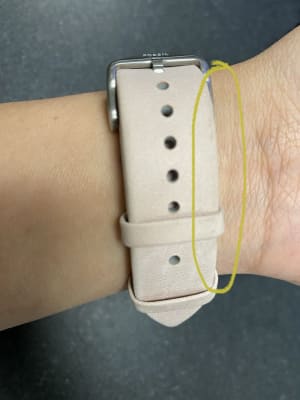 fossil apple watch band