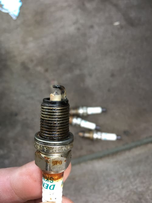 NGK spark plugs for the MF win!