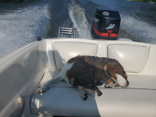 Copper Resistor Spark Plug