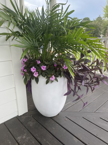 Customer image 1