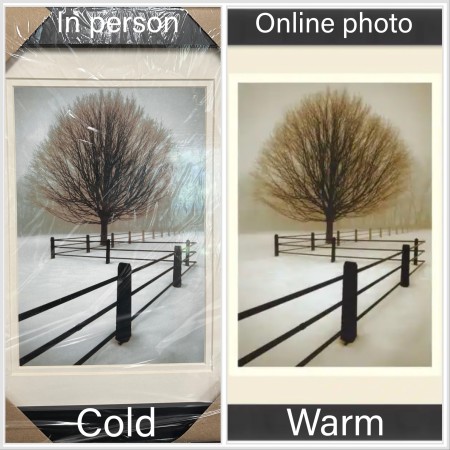 Customer image 1