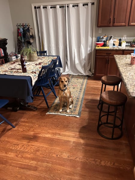 Customer image 1