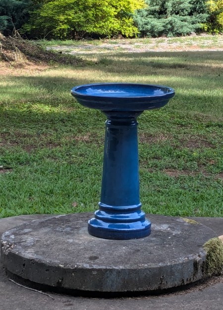 Customer image 4
