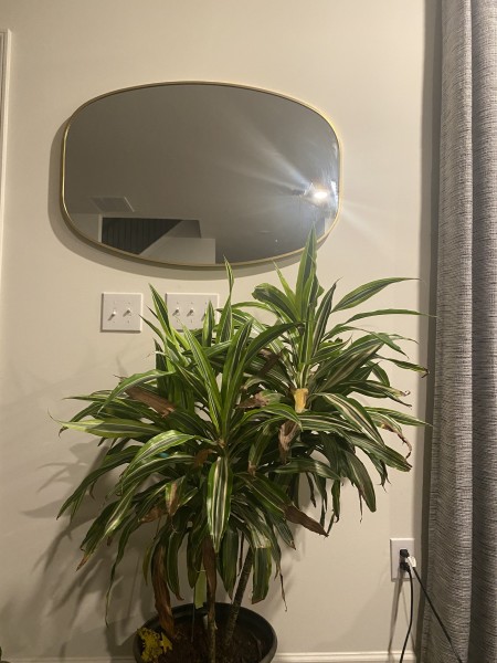 Customer image 3