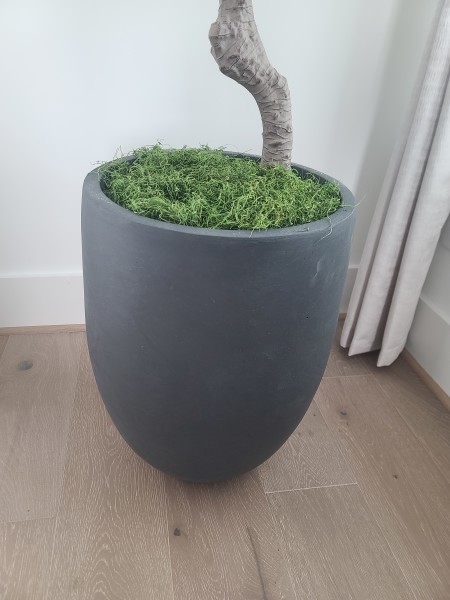 Customer image 2
