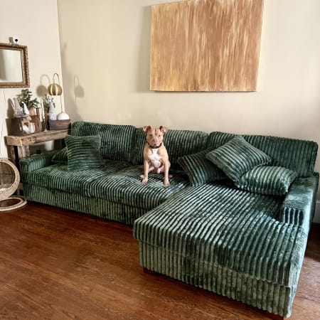 Customer image 2