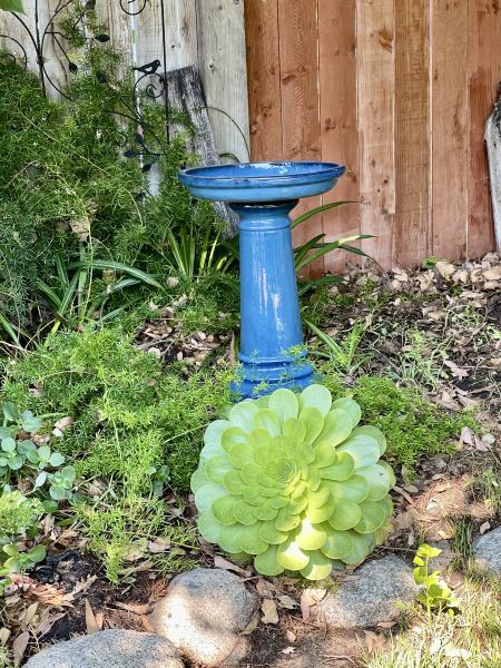 Customer image 3