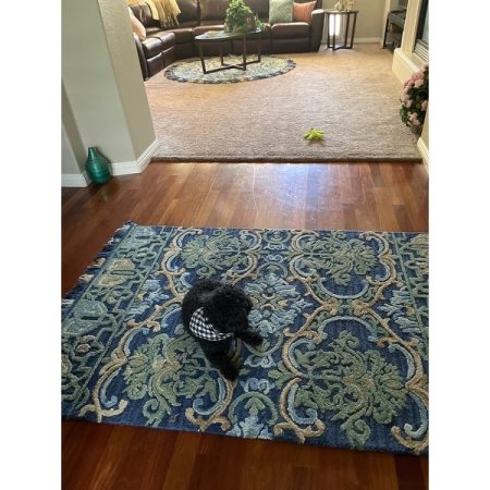 Customer image 16