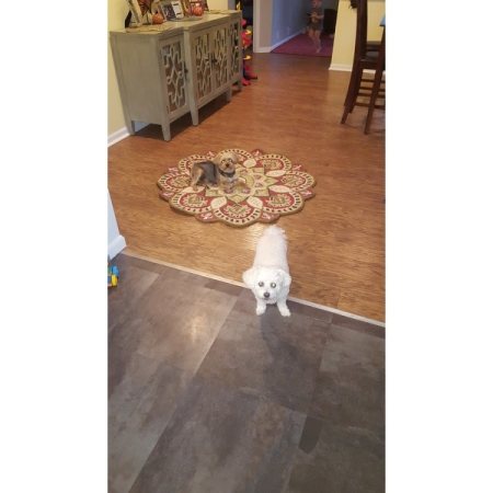 Customer image 136