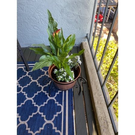 Customer image 109