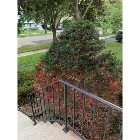 Customer image 2