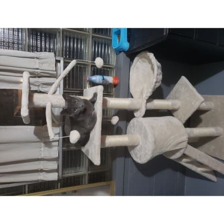 Customer image 1